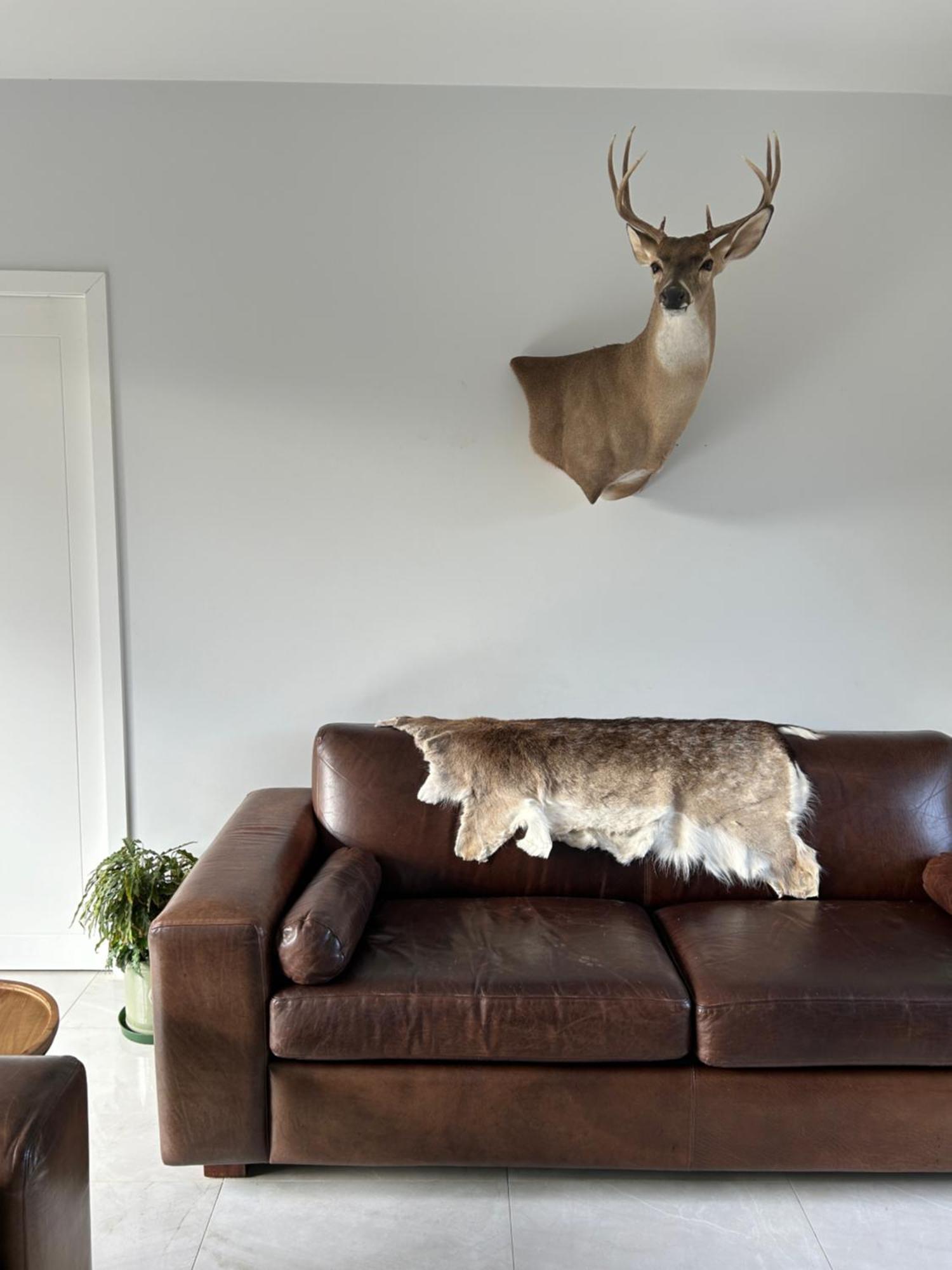 Tarras Countryside Retreat - Near Tourist Route 아파트 외부 사진