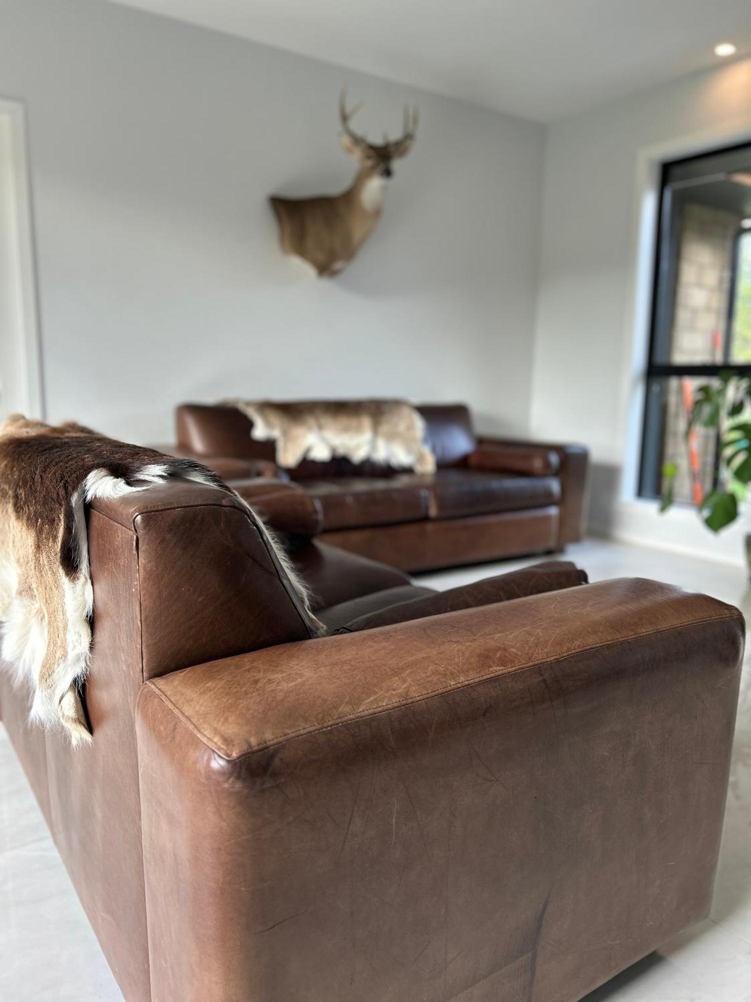Tarras Countryside Retreat - Near Tourist Route 아파트 외부 사진